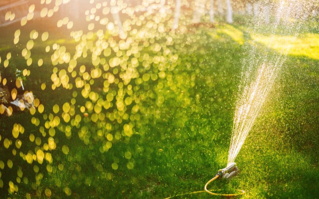 Un système d'irrigation écologique