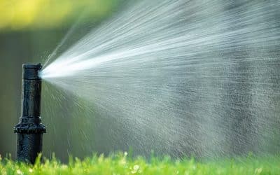 Guide pratique sur les systèmes d’irrigation automatisés pour un jardin durable et économe en eau