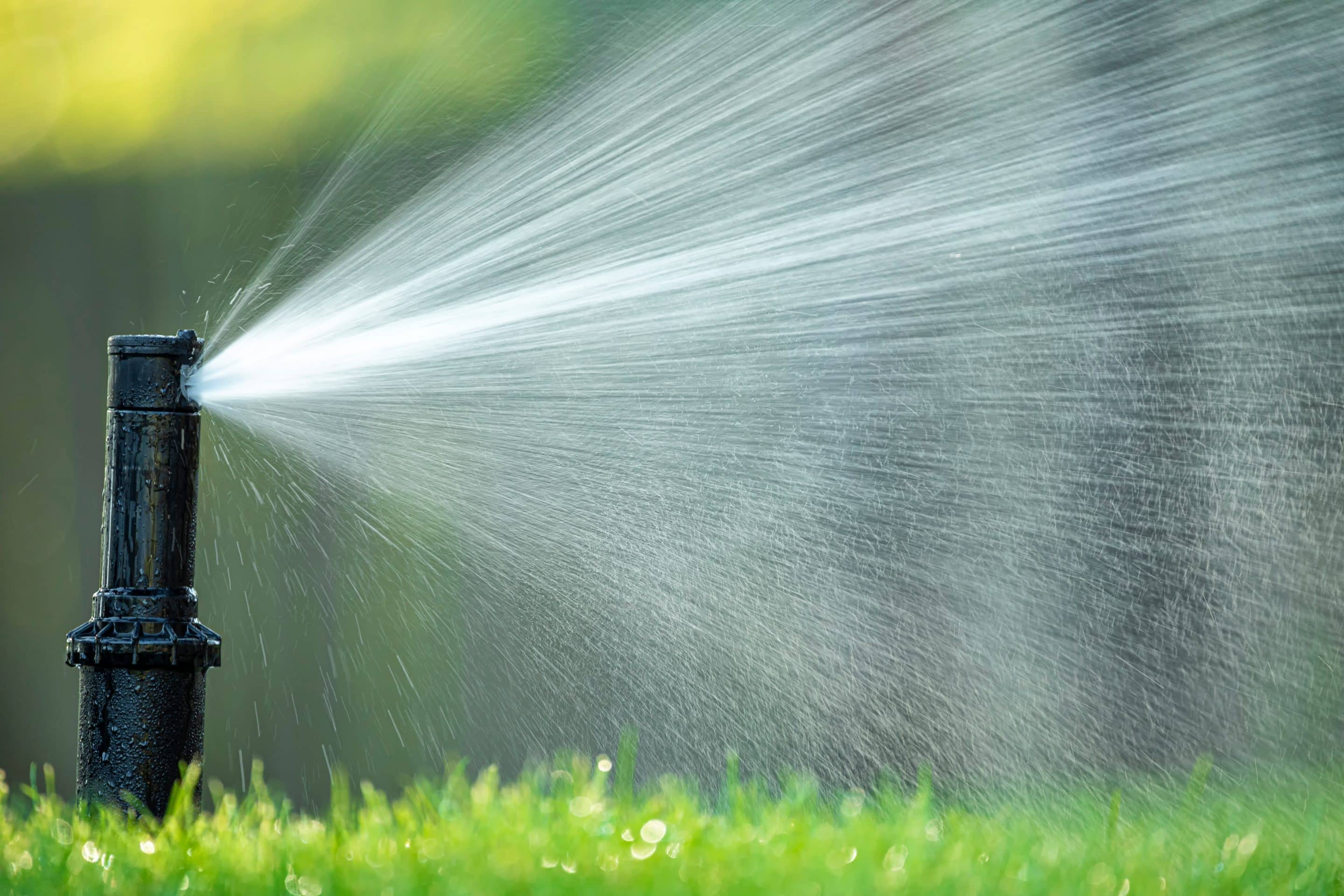 Guide pratique sur les systèmes d’irrigation automatisés pour un jardin durable et économe en eau