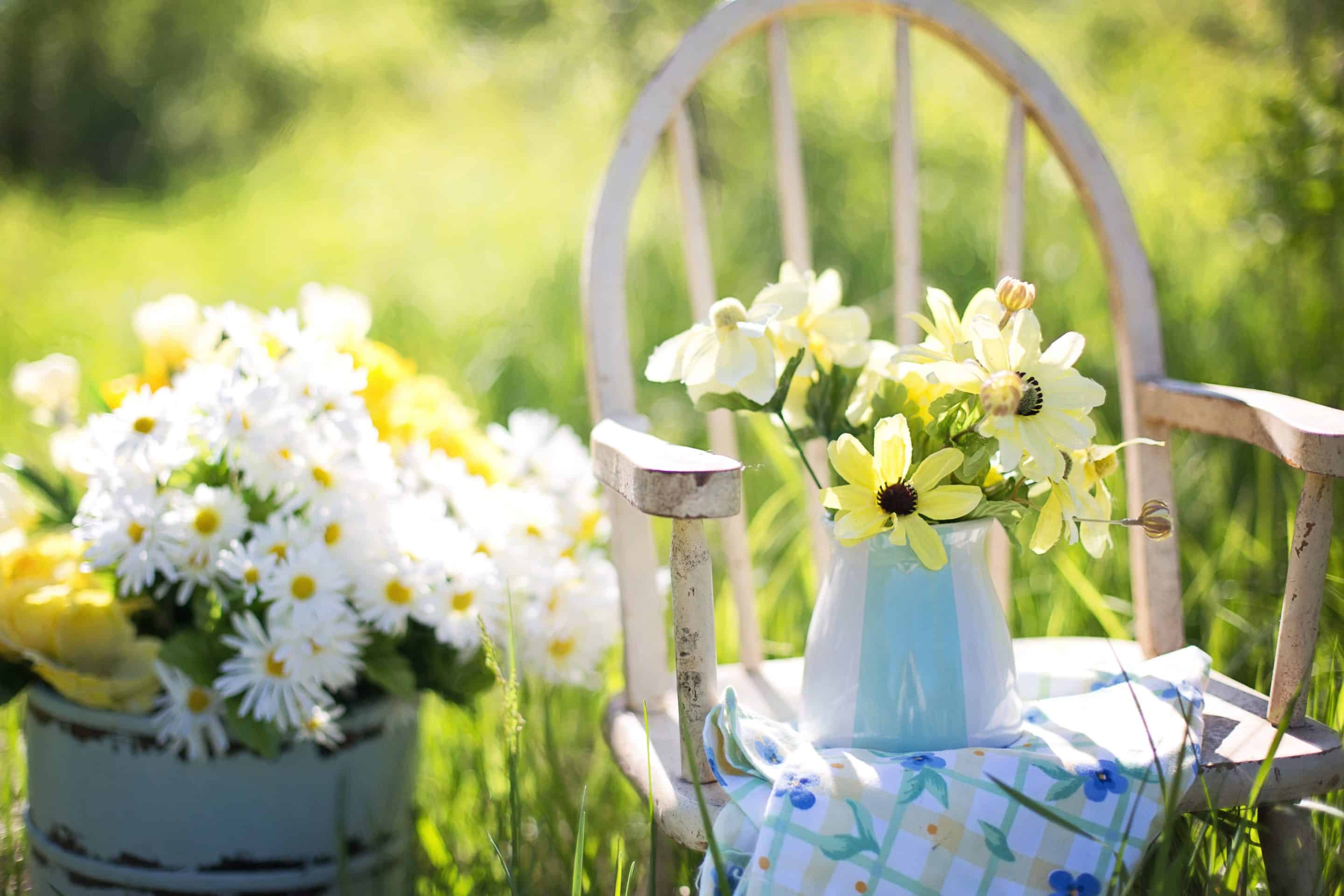 Les clés pour choisir les bonnes plantes pour votre jardin – conseils d’expert pour un extérieur magnifique