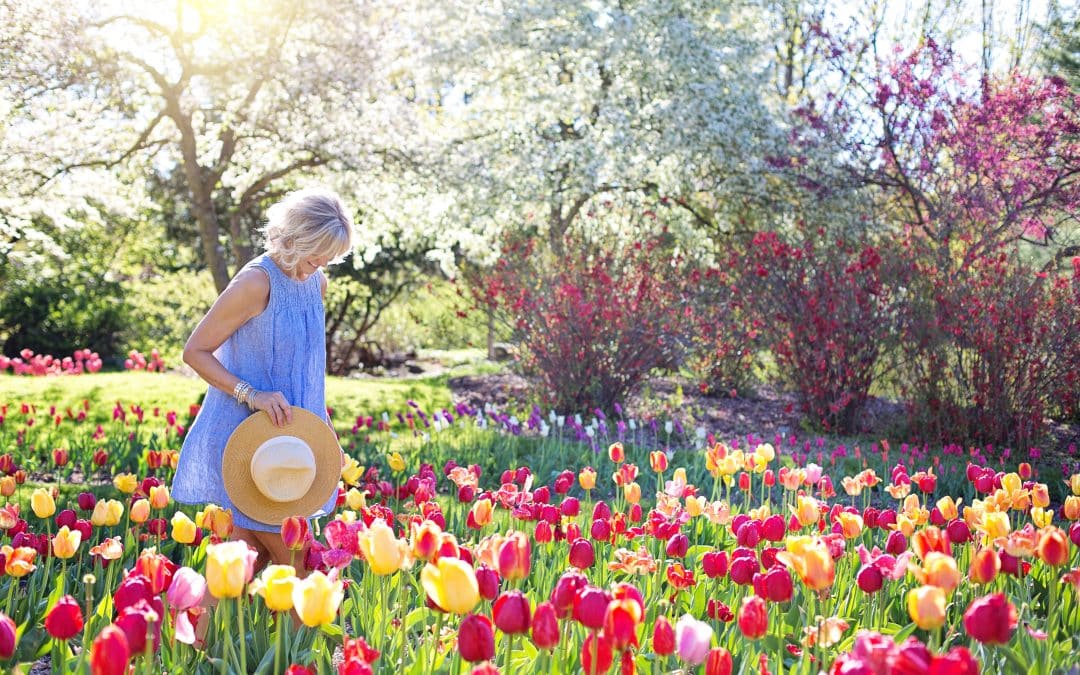 un jardin durable et esthétique