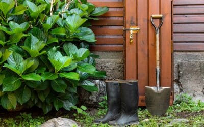 Stratégies efficaces pour optimiser le drainage de votre jardin