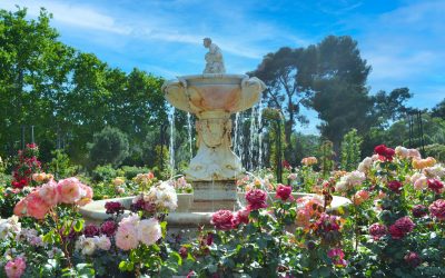 Intégrer des éléments d’eau dans votre jardin : fontaines et petits étangs