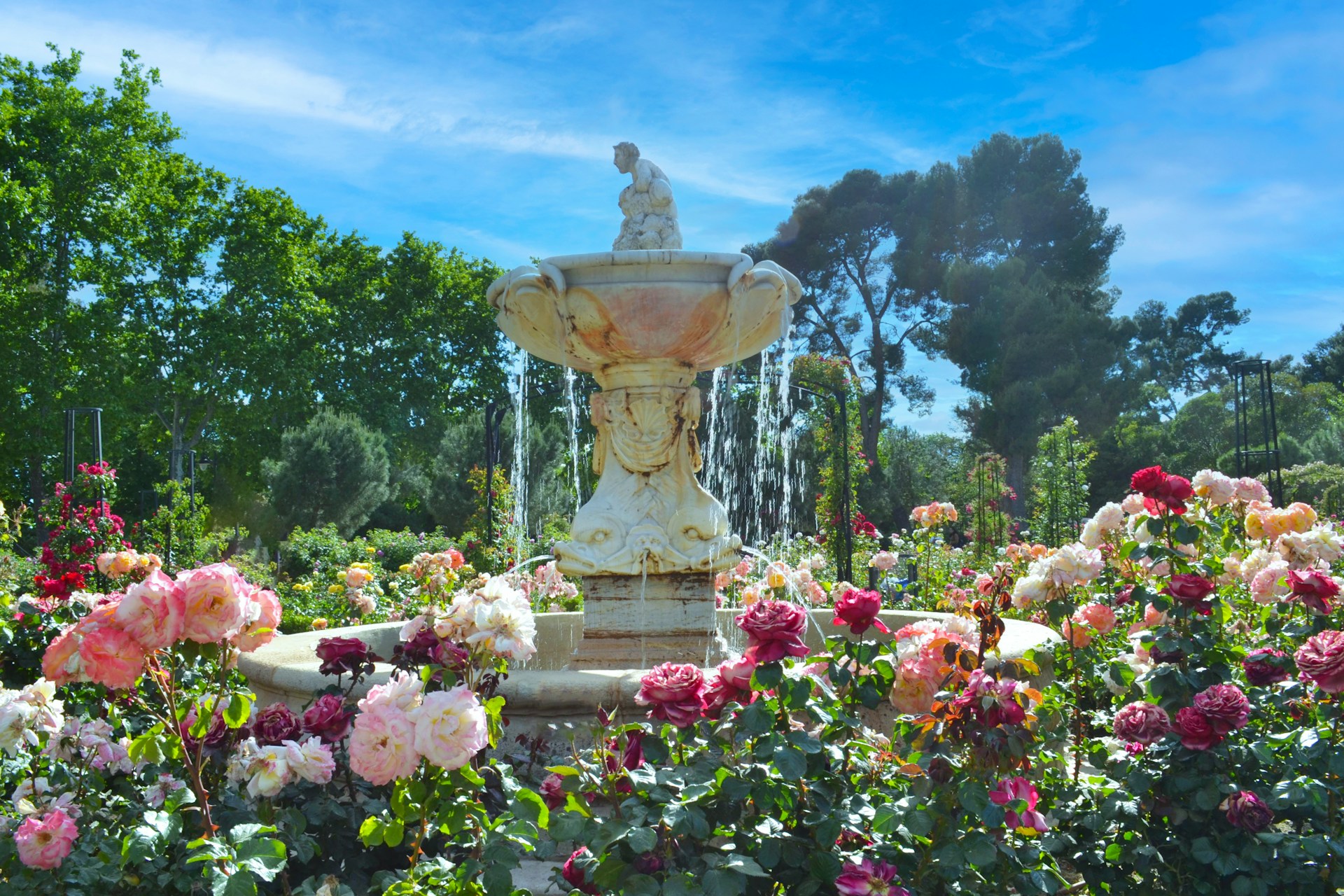 Intégrer des éléments d&rsquo;eau dans votre jardin : fontaines et petits étangs