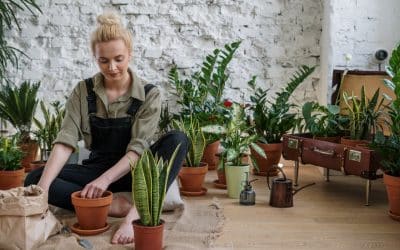 Maîtriser les techniques de jardinage en climats difficiles