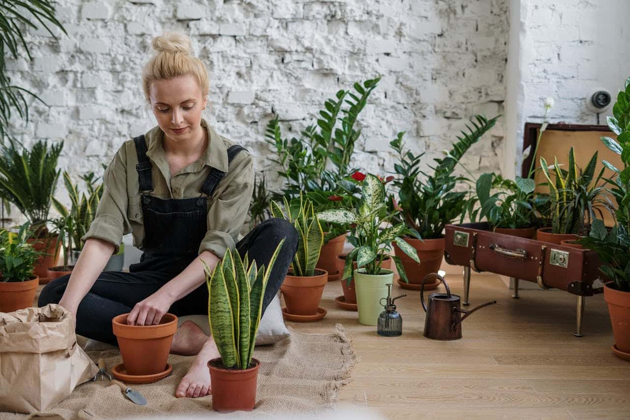 Maîtriser les techniques de jardinage en climats difficiles