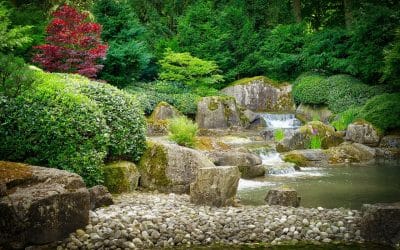 Guide pratique pour aménager un jardin zen authentique